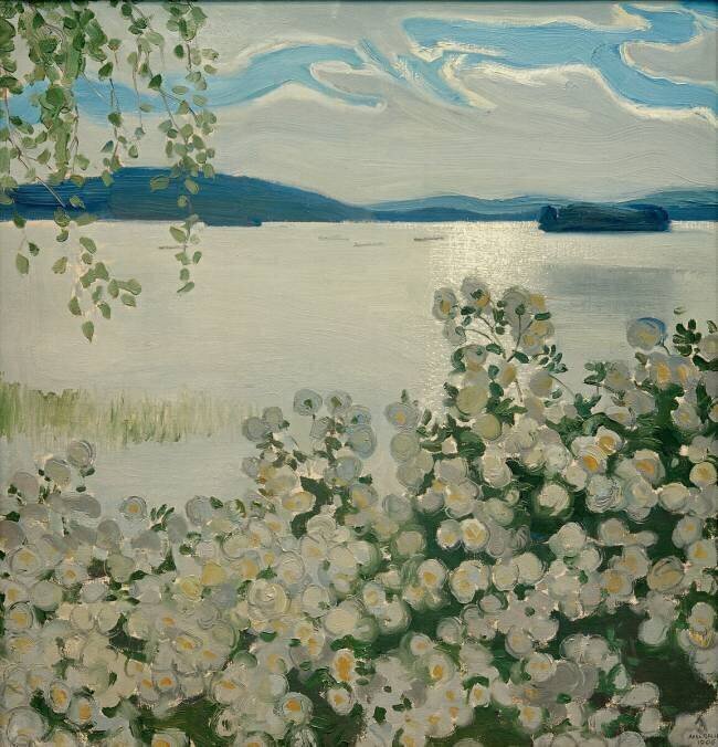 Roses blanches Akseli Gallen-Kallela