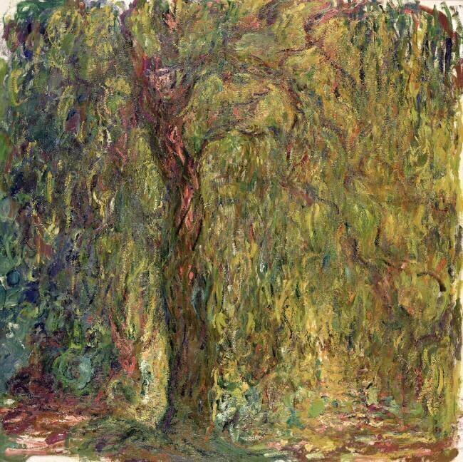 Saule pleureur Claude Monet