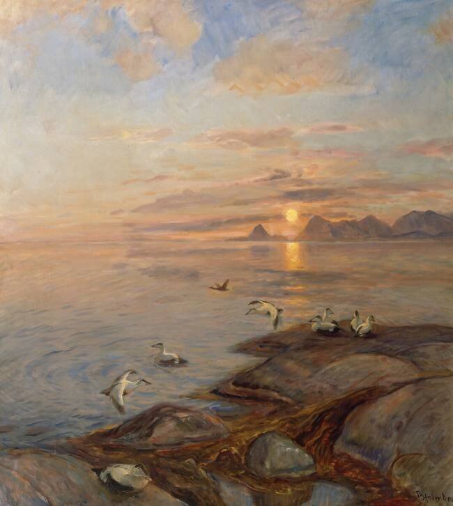 Oiseaux de mer au soleil de minuit Thorolf Holmboe