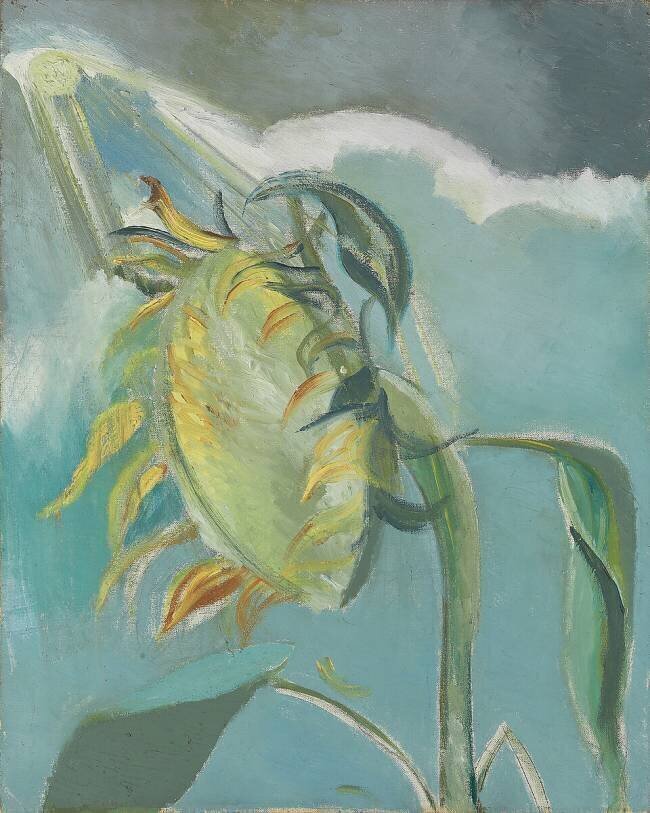 Sunflower and Sun Paul Nash