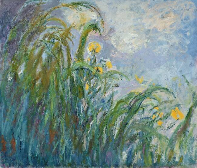 The Yellow Iris Claude Monet
