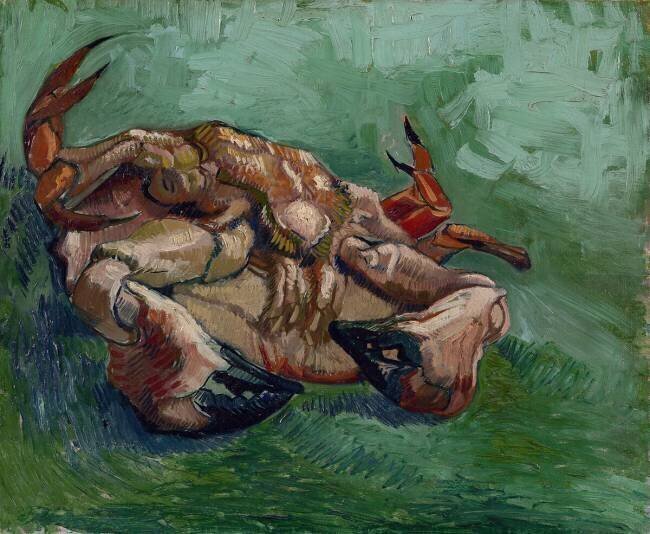 Un crabe sur le dos Vincent van Gogh