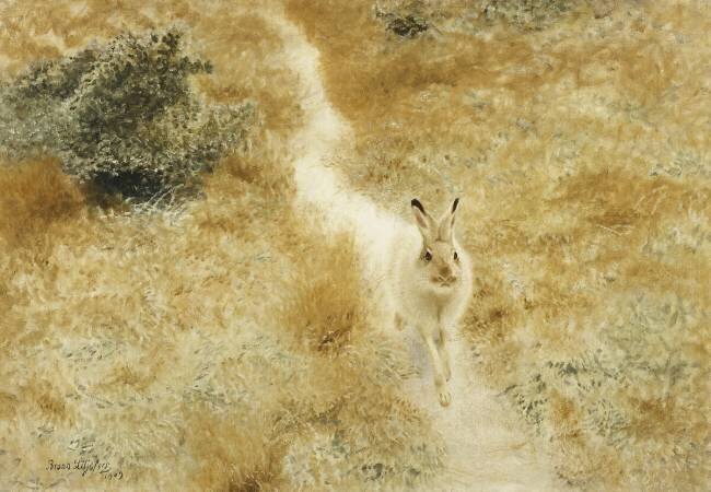 Un lièvre d'hiver dans un paysage Bruno Liljefors