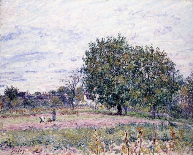 Walnut Trees Alfred Sisley