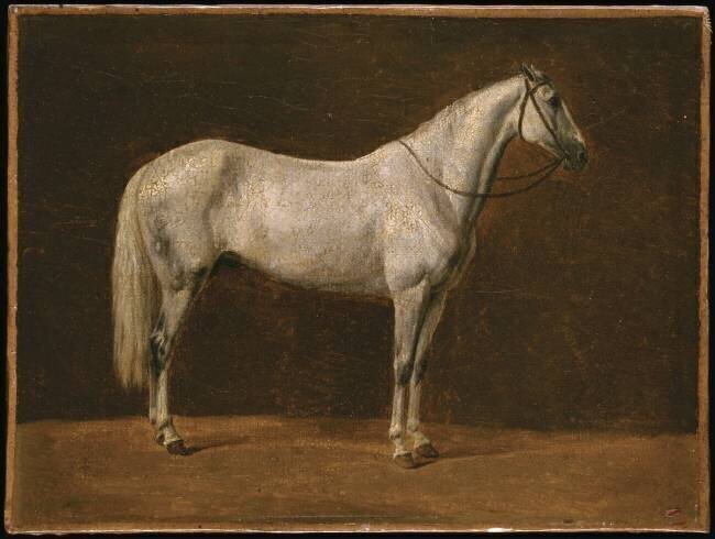 Cheval de Napoléon : "Le Sahara" Pierre Martinet