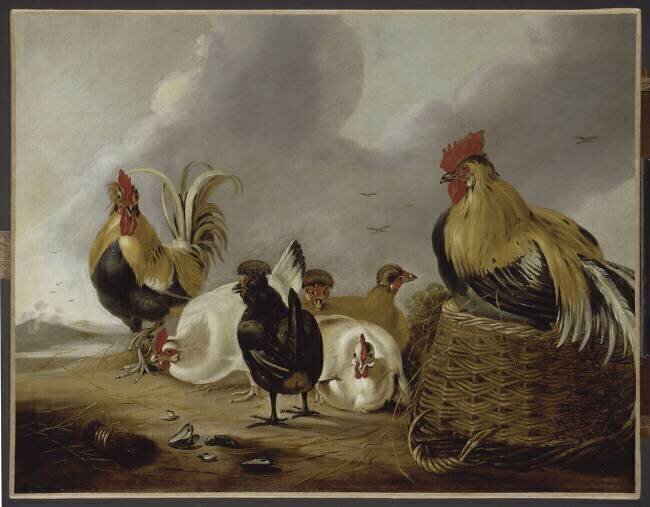 Coqs et poules Albert Cuyp