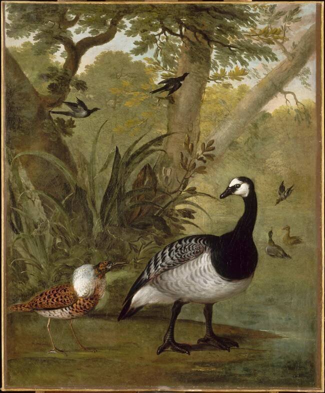 Etude d'oiseaux Nicasius Bernaerts