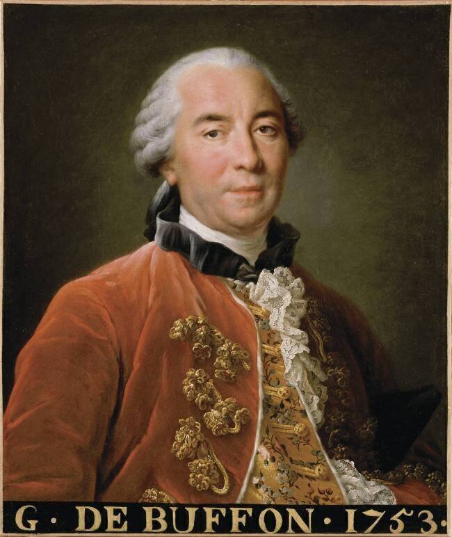 Georges-Louis Leclerc, comte de Buffon, naturaliste (1707-1788) François-Hubert Drouais (d'après)