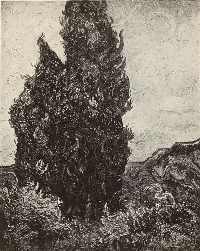 The cypresses Vincent van Gogh
