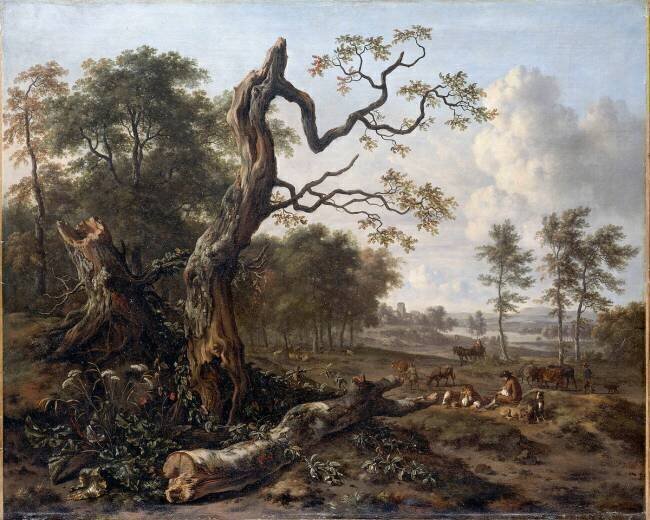 Lisière de forêt Jan Wijnants