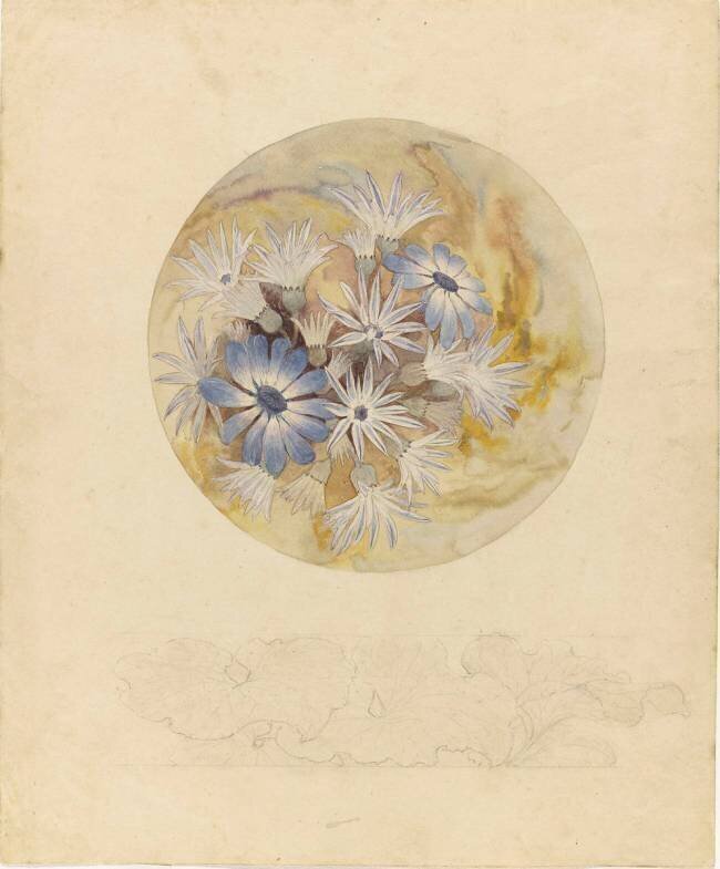 Modèle de boîte ou de bonbonnière en cristal à décor de marguerites et de pâquerettes Emile Gallé