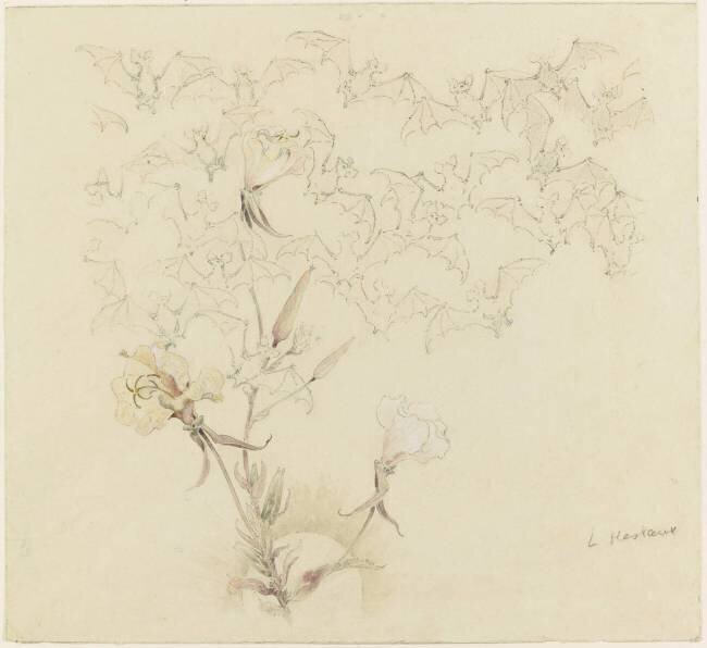 Modèle de décor pour la céramique : mirabilis et vol de chauves-souris sur un fond de crépuscule Emile Gallé