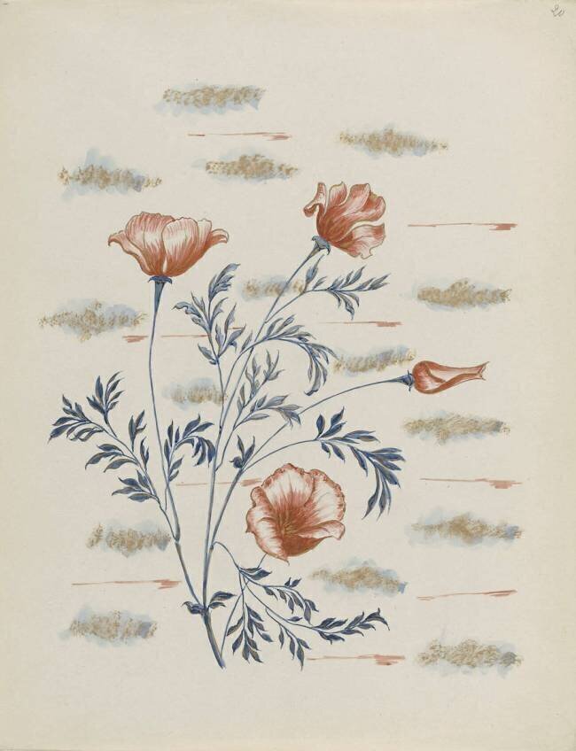 Modèle pour le décor du Service floral Emile Gallé