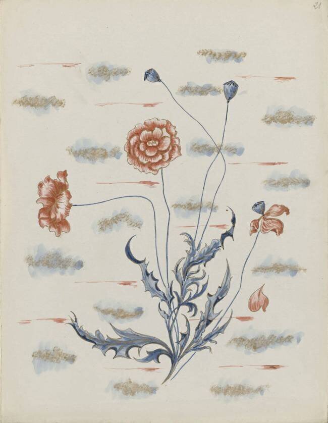Modèle pour le décor du Service floral Emile Gallé