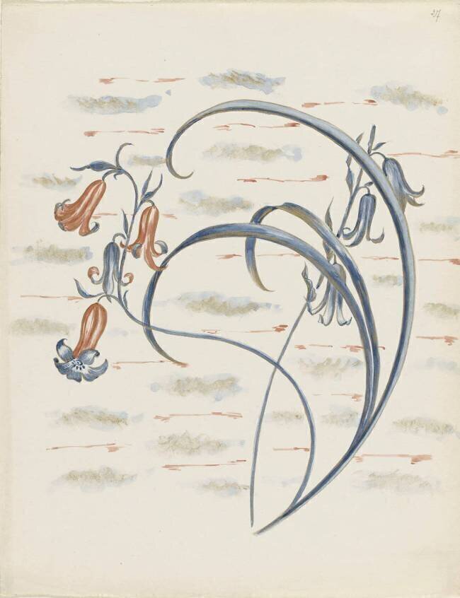 Modèle pour le décor du Service floral Emile Gallé