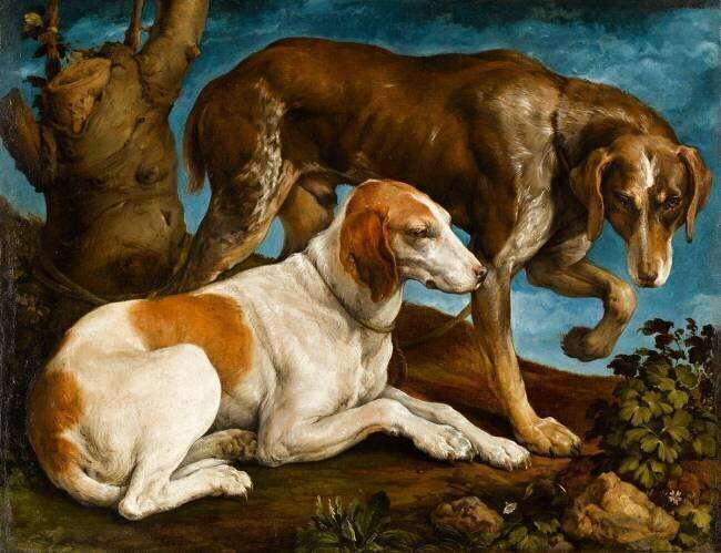 Deux chiens de chasse attachés à une souche Jacopo Bassano