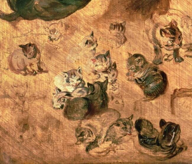 Étude des chats Jan Brueghel l'Ancien