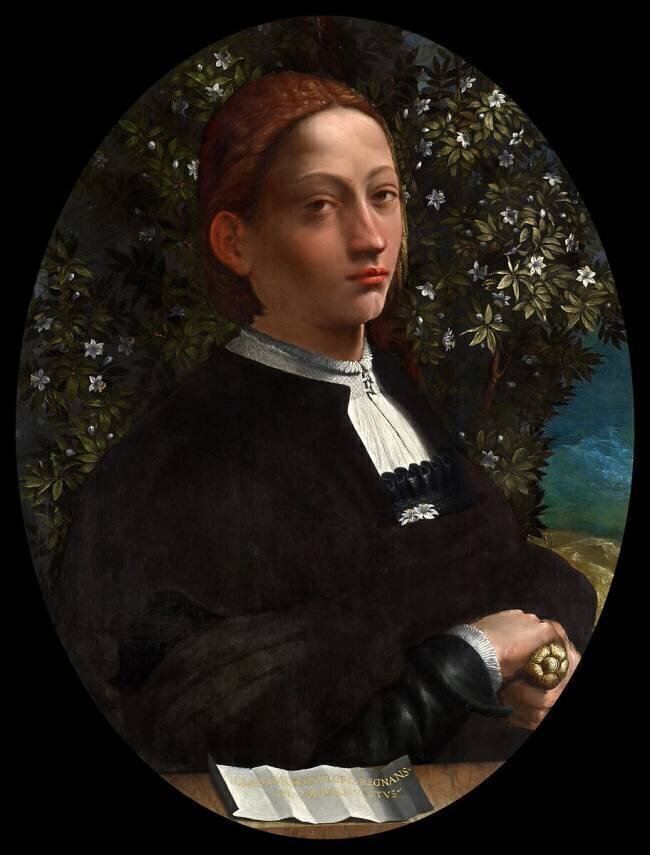 Lucrèce Borgia Battista Dossi
