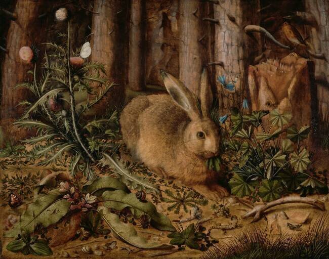 Un lièvre dans la forêt Hans Hoffmann
