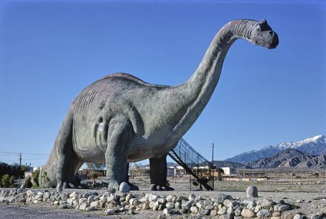 Brontosaurus, Prehistoric Museum, Cabazon, California John Margolies