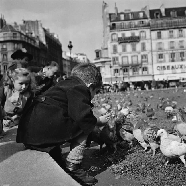 Pigeons in front of the Paris Town Hall Keystone