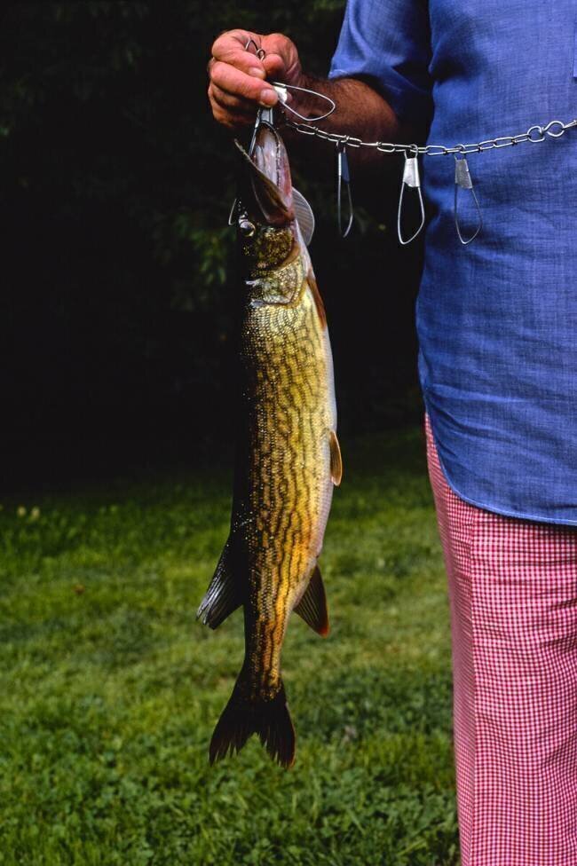 Menges fish from sand pond, Livingston Manor, New York John Margolies