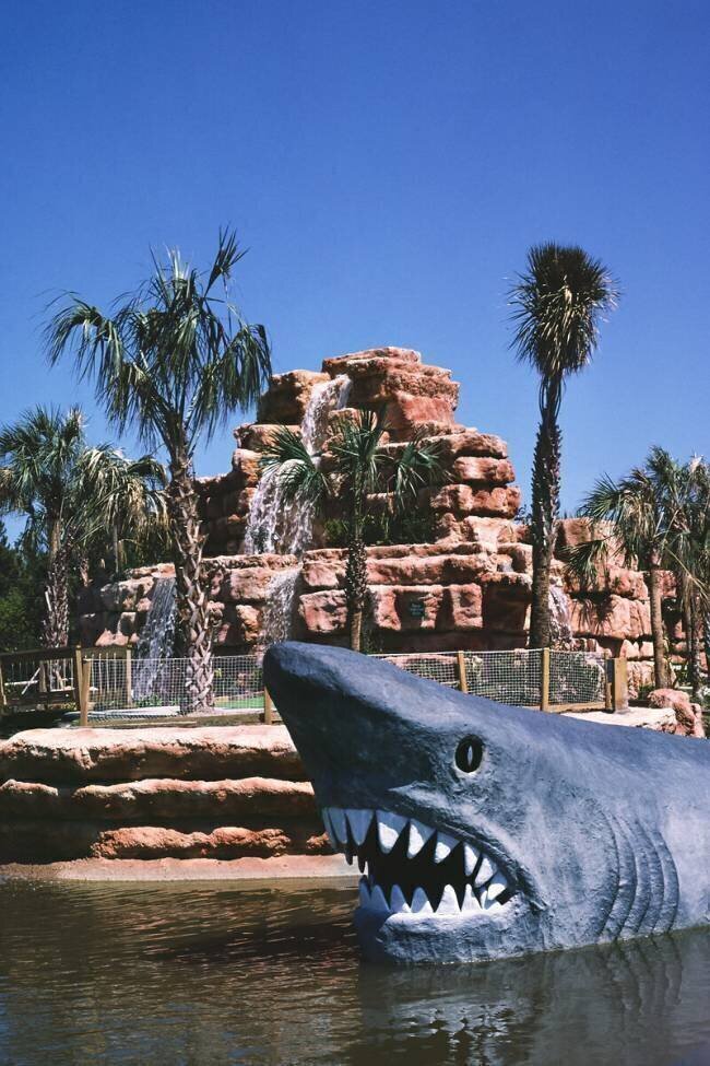 Shark overall, Rainbow Falls Golf, Myrtle Beach, South Carolina John Margolies