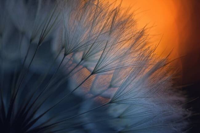 ///<*... Dimitar Lazarov