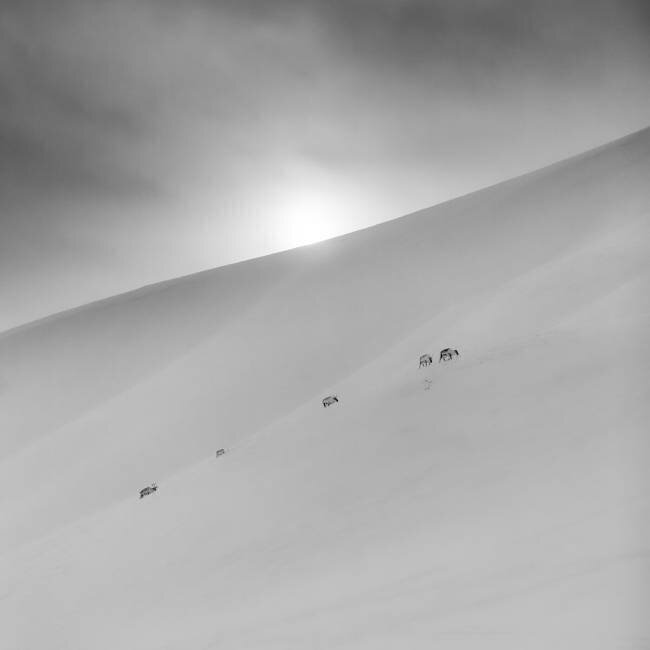 - 20 Asmund Kvarnstrom