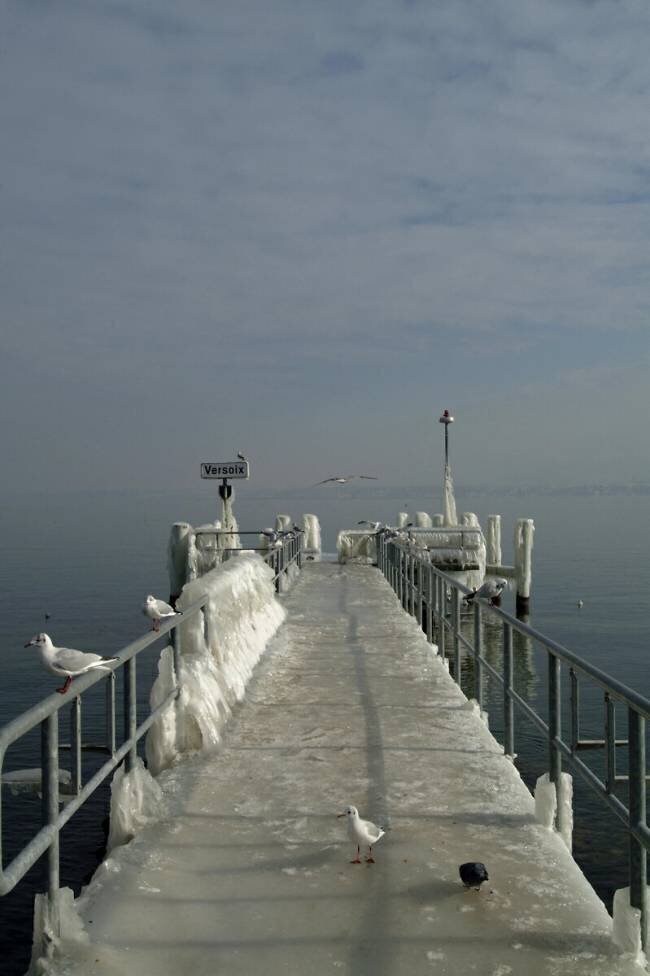  Jetée glacée, Versoix, Genève, Lac Léman Jürgen Henkelmann
