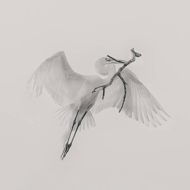 Un bon Qing Zhao