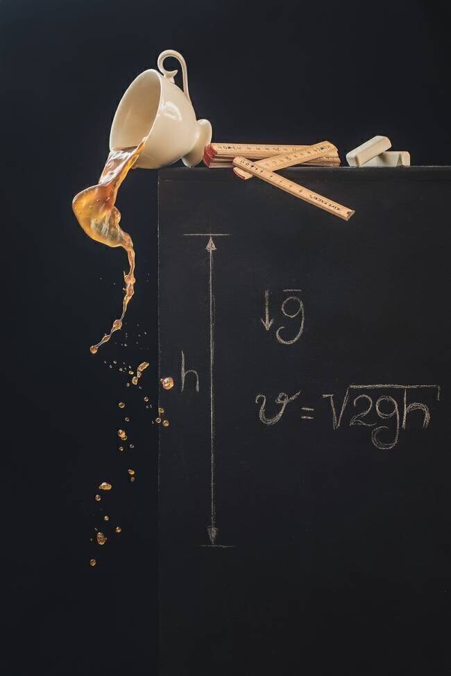 A study with free fall Dina Belenko