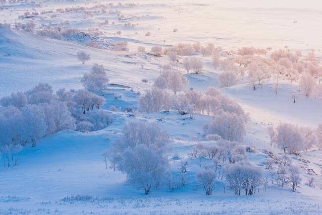 A world of ice and snow Simoon