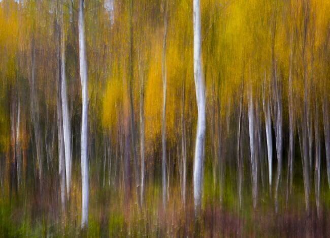 Abstract Fall Andreas Christensen