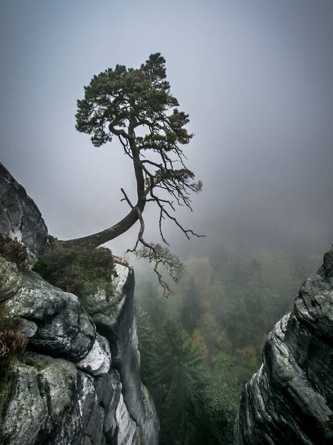 Against the Odds Andreas Wonisch