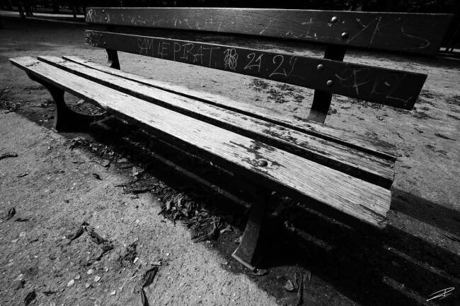 Alone in Paris Jérôme Prince