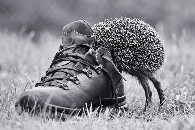 And suddenly it's my size? Elena Solovieva