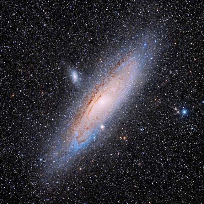 Andromeda Vikas Chander
