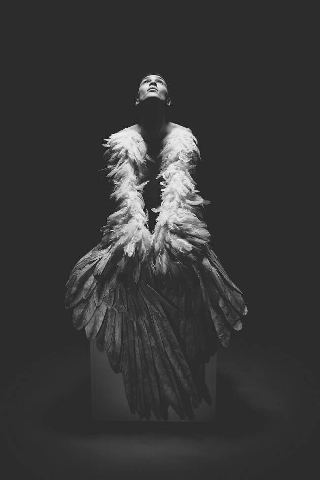 Angel Marko Dasic