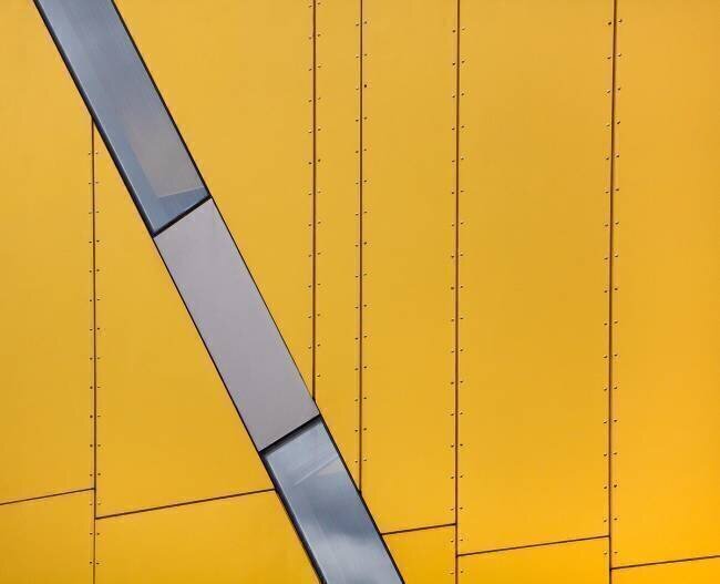 Angle Jacqueline Hammer