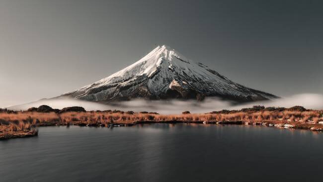 Aotearoa Zoltan Regius Polgar