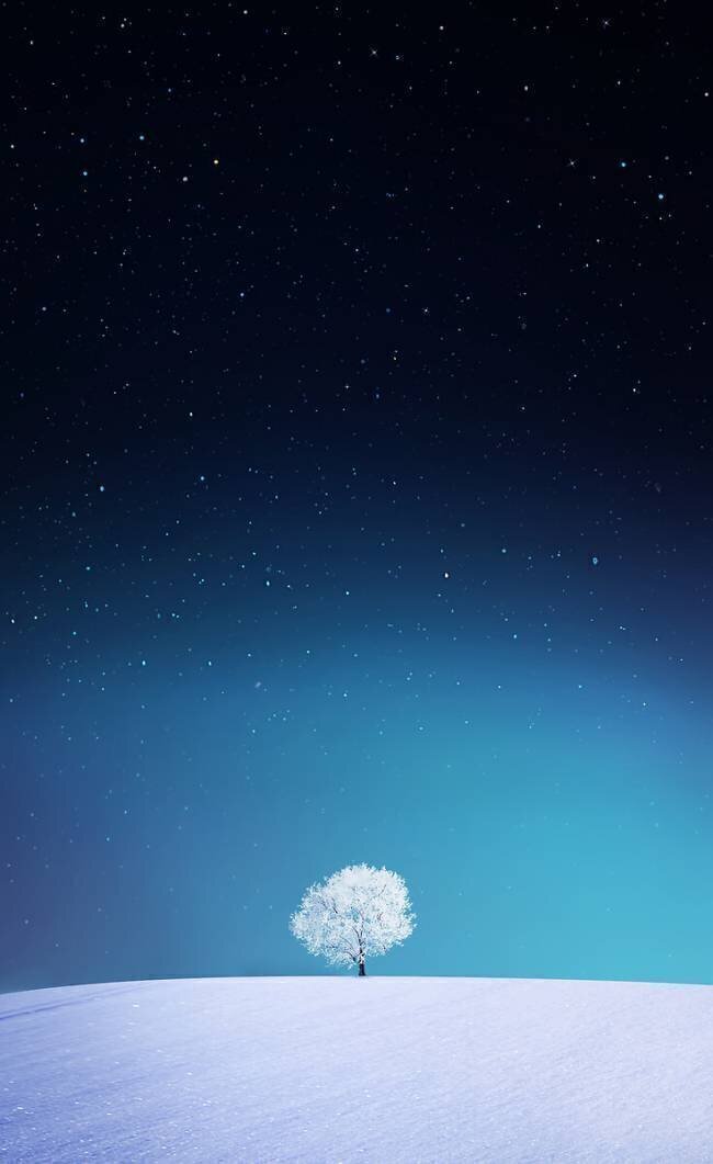 Apple Bess Hamiti