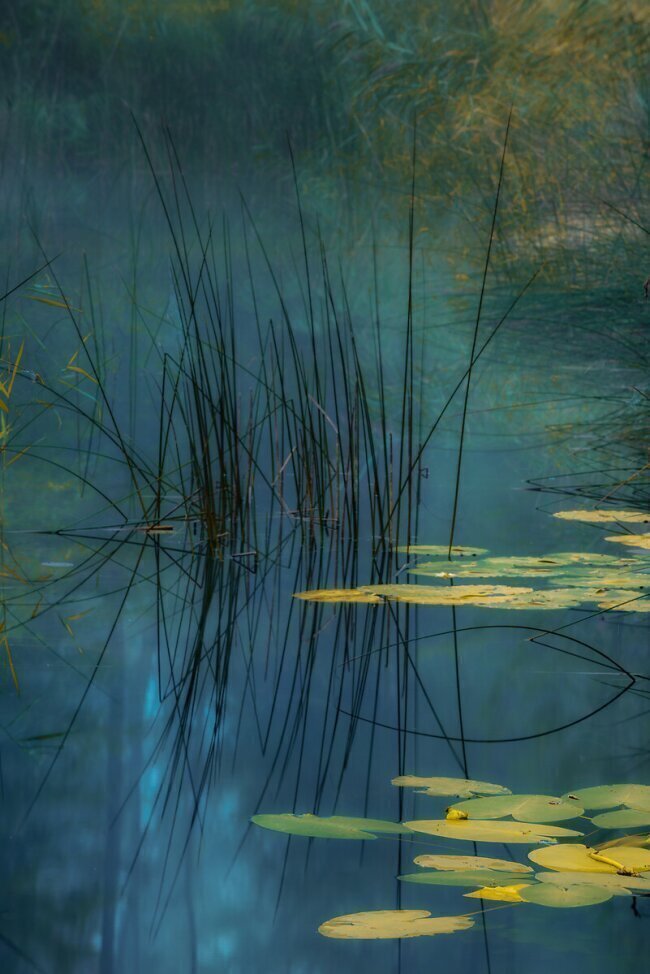 Aqua Andreas Agazzi