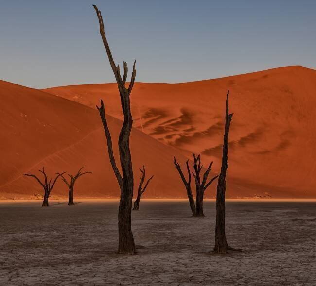 Arid Luigi Ruoppolo