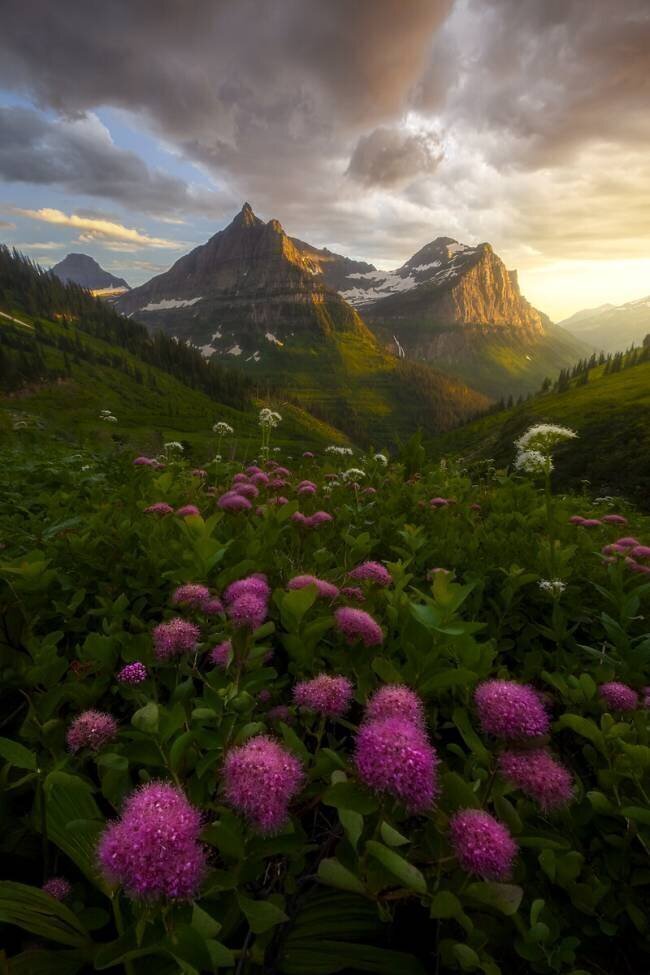 As It Fades Ryan Dyar