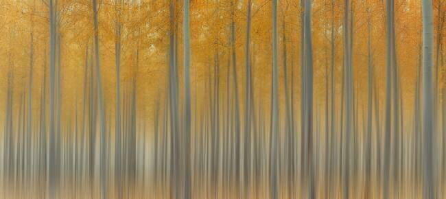 Autumn Delight Lydia Jacobs