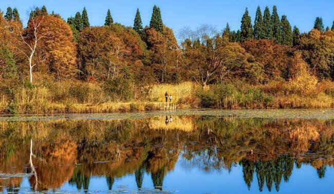 Autumn holidays for parents and children Yuusuke Hisamitsu