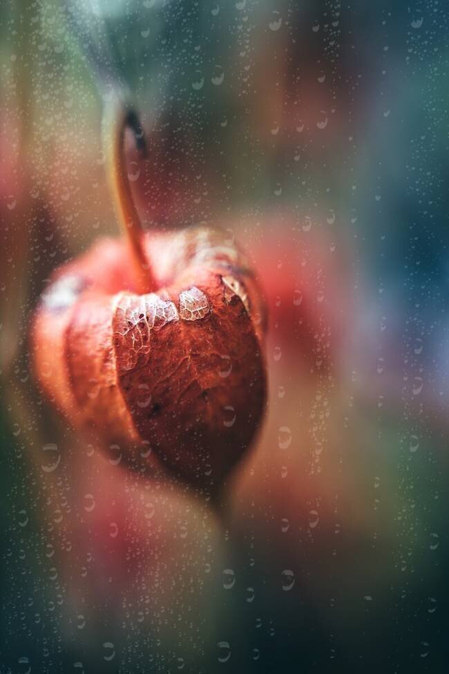 Autumn Impression Ulrike Eisenmann