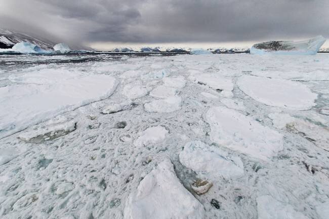 Banquise sur la Mer de Ross - Antarctique Tobias Bernhard Raff