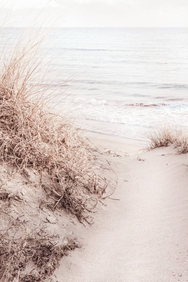 Beach 10 1x Studio III